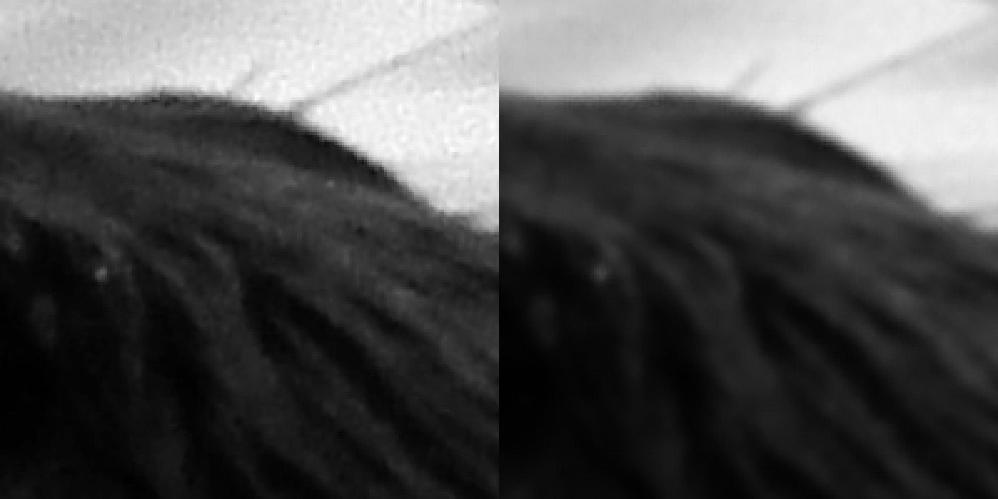 fig. 15
