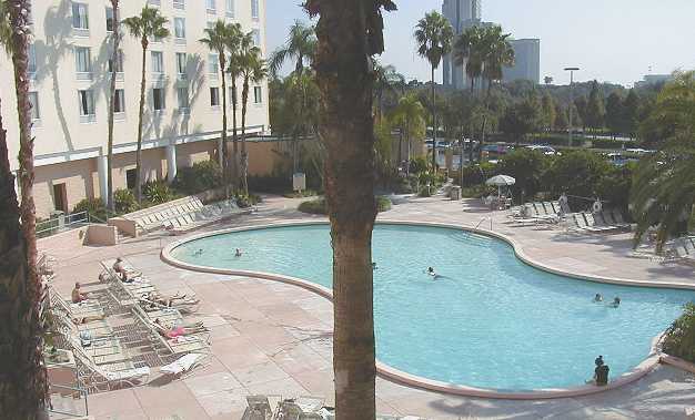 The pool