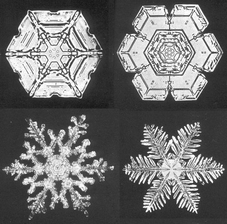 Photo of snowflakes