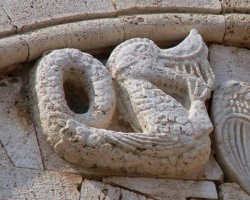 Ancient duck
